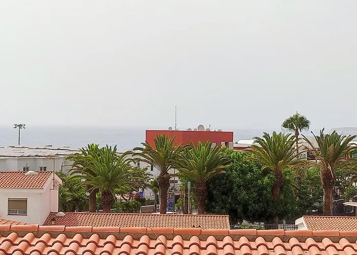 Palo Blanco Ocean View 250 M To The *